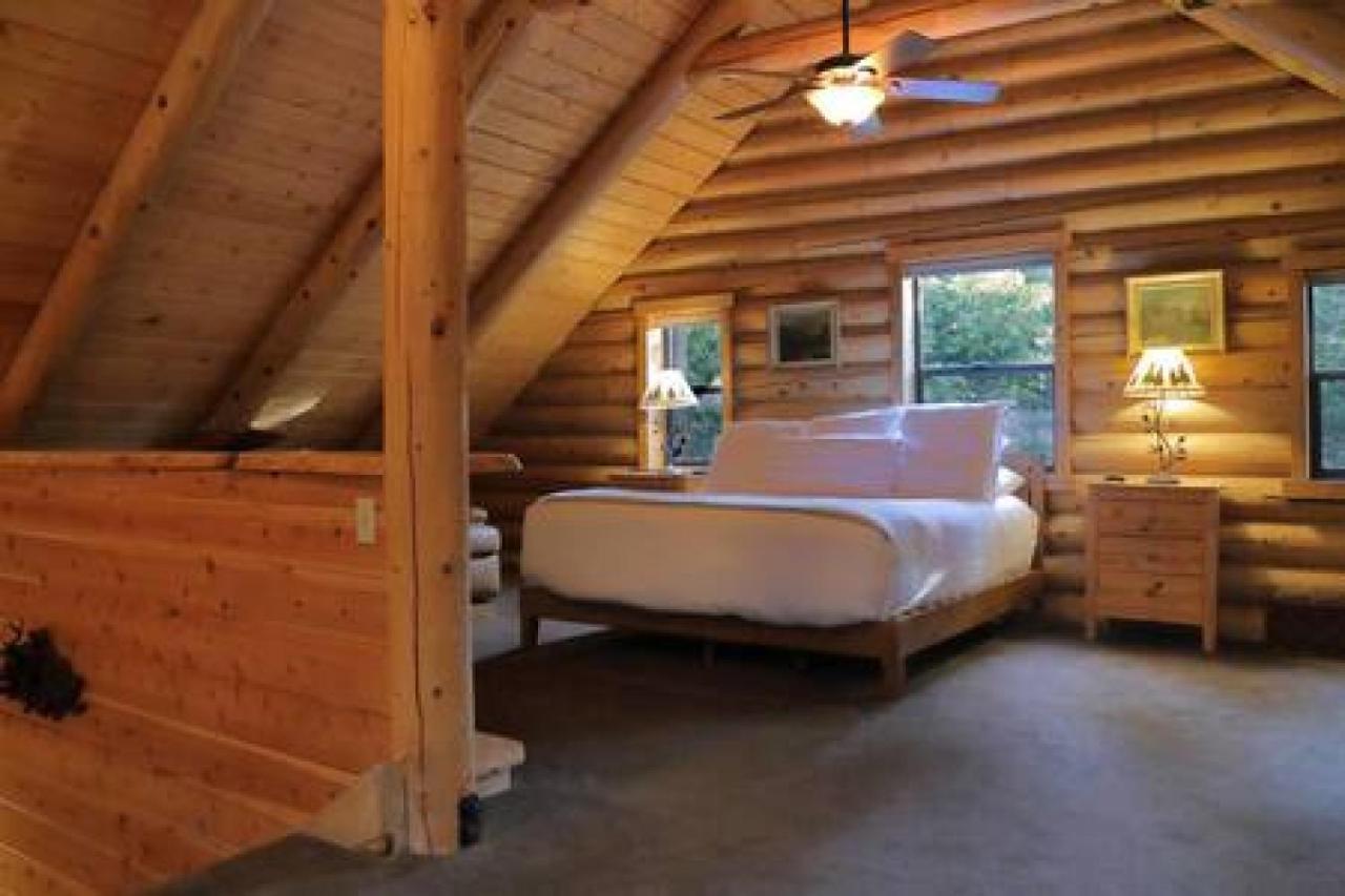 Eagles Nest - Natural Log Cabin With Guest House Idyllwild Eksteriør billede