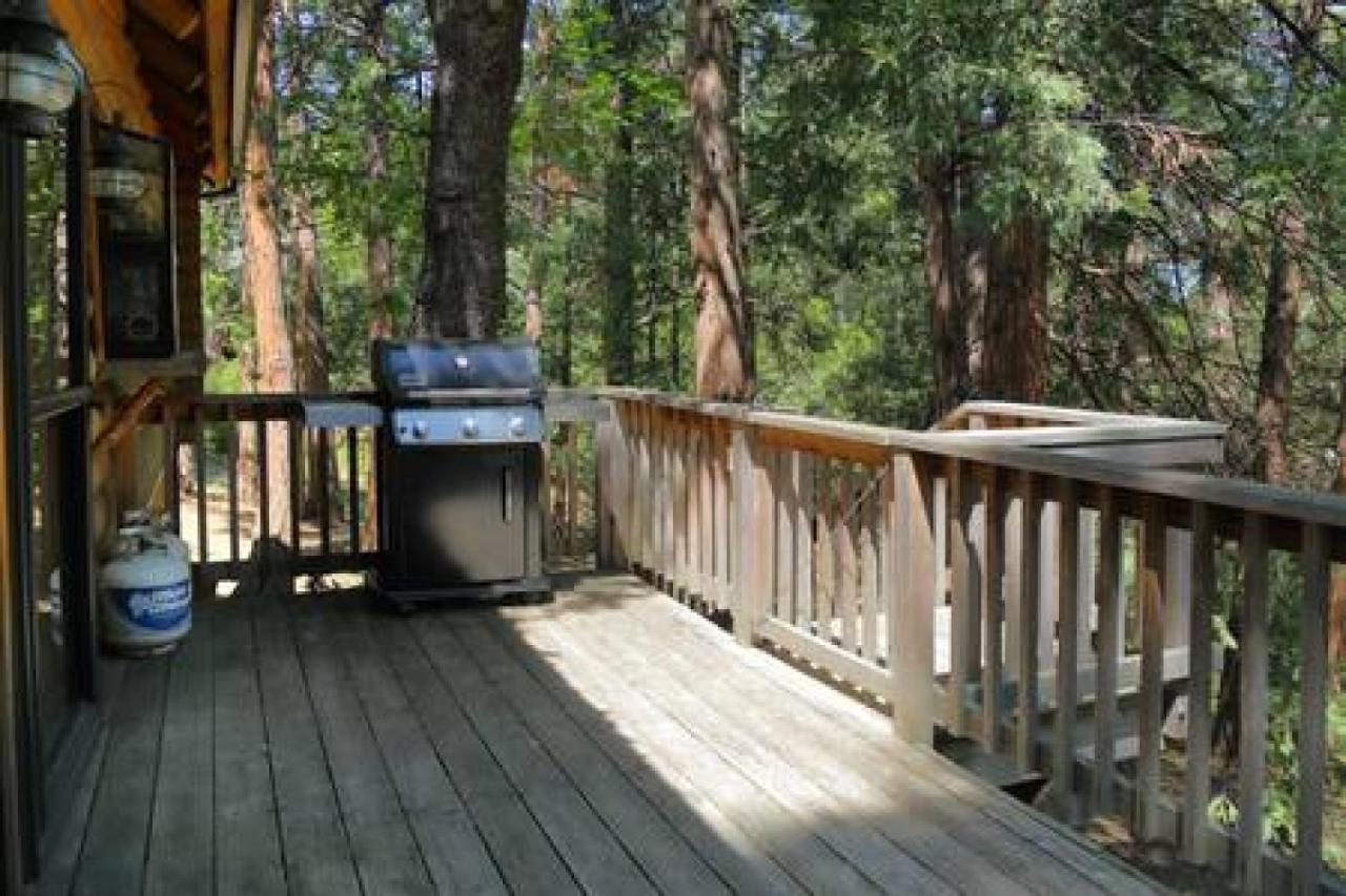 Eagles Nest - Natural Log Cabin With Guest House Idyllwild Eksteriør billede