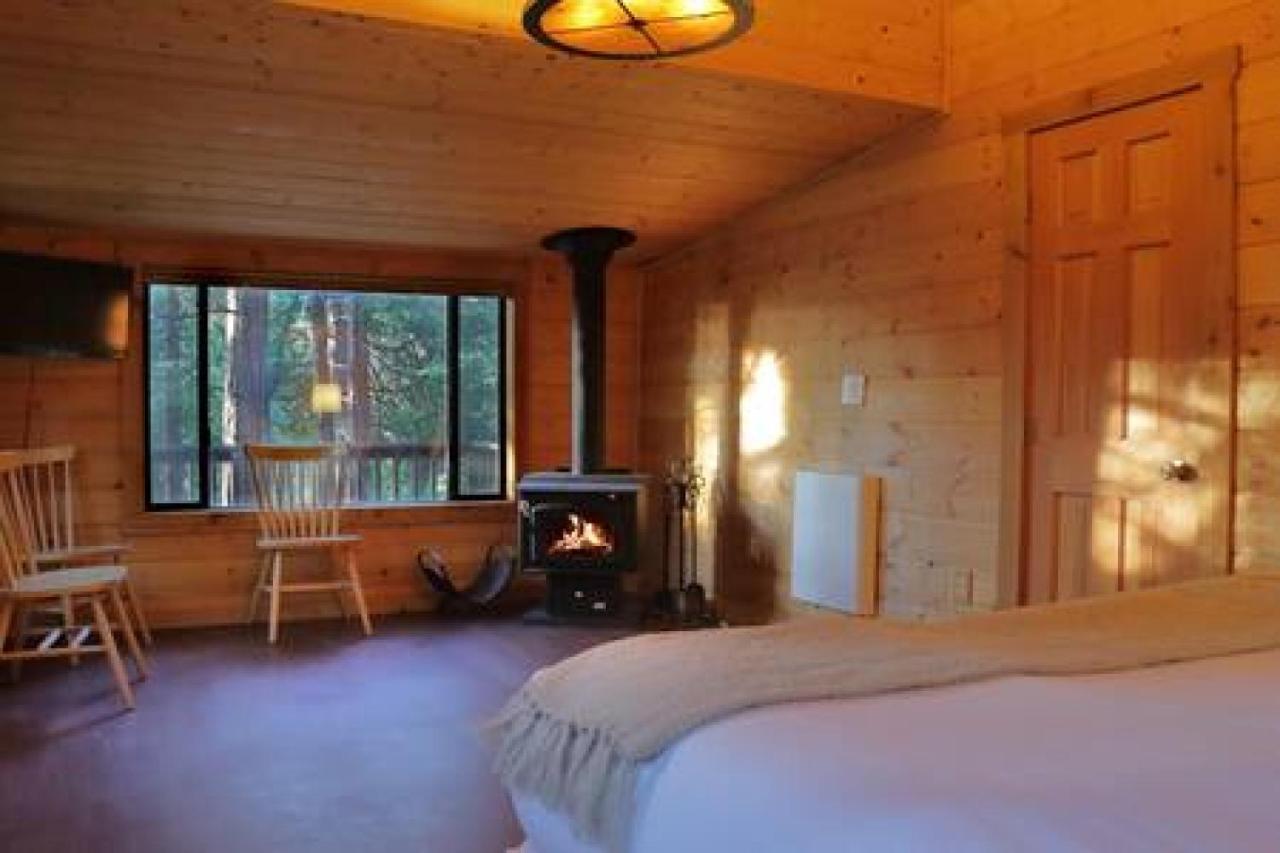 Eagles Nest - Natural Log Cabin With Guest House Idyllwild Eksteriør billede